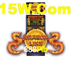 Premium Interface 888Pib