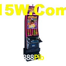 Premium Interface 888Pib
